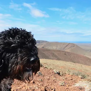 https://casa-uma-villaverde-fuerteventura.in-canary-islands.com